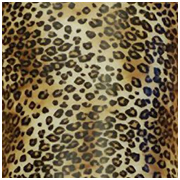 leopard transfer pattern