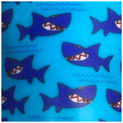 sharks transfer pattern