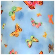 spring butterfly transfer pattern